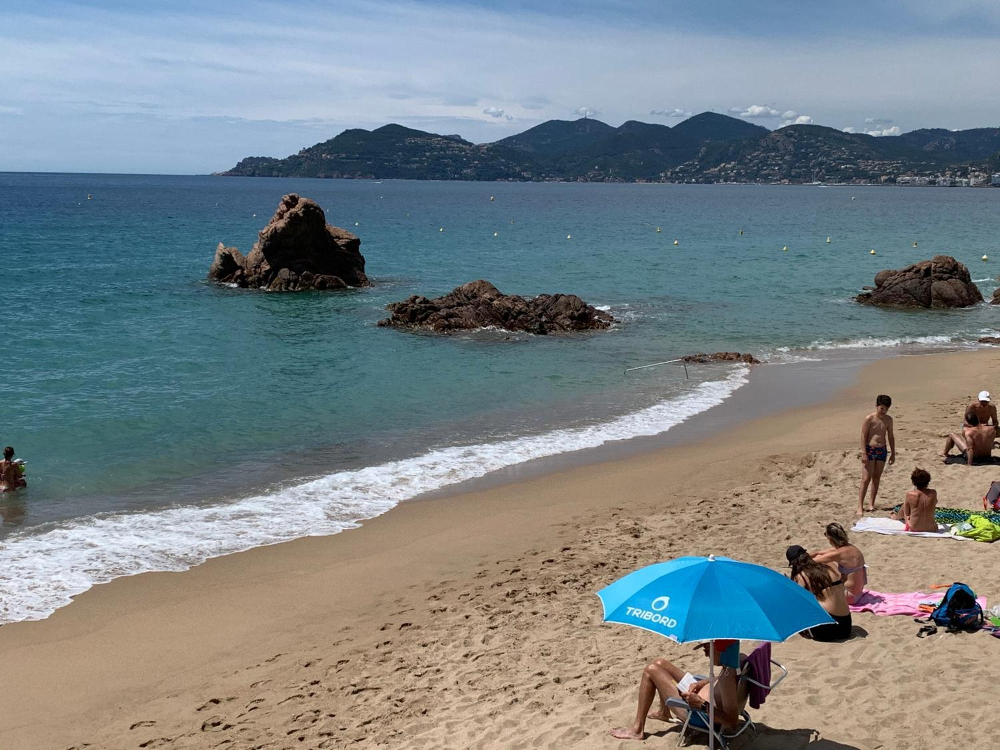 Le Palm Azur - Vue Mer Sur Les Iles De Lerins Cannes Eksteriør bilde